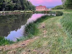Ein Haus mit Teich, umgeben von Gras und Bäumen.