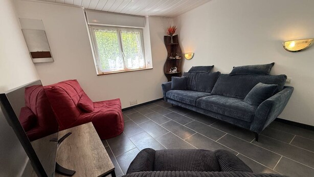 En stue med en rød lænestol, en blå sofa, en mørk sofa, et træbord og et vindue med udsigt til træer.