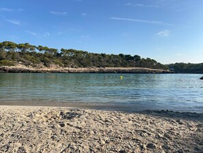 Ranta