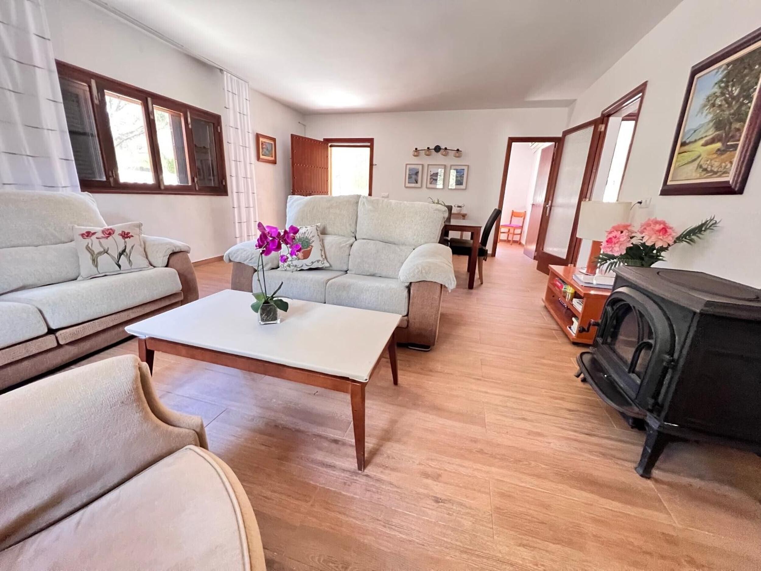 TV og peis