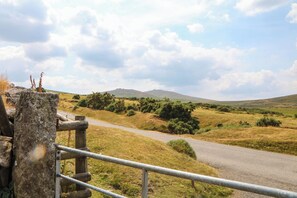 Property grounds - Little Moorgate (Okehampton)