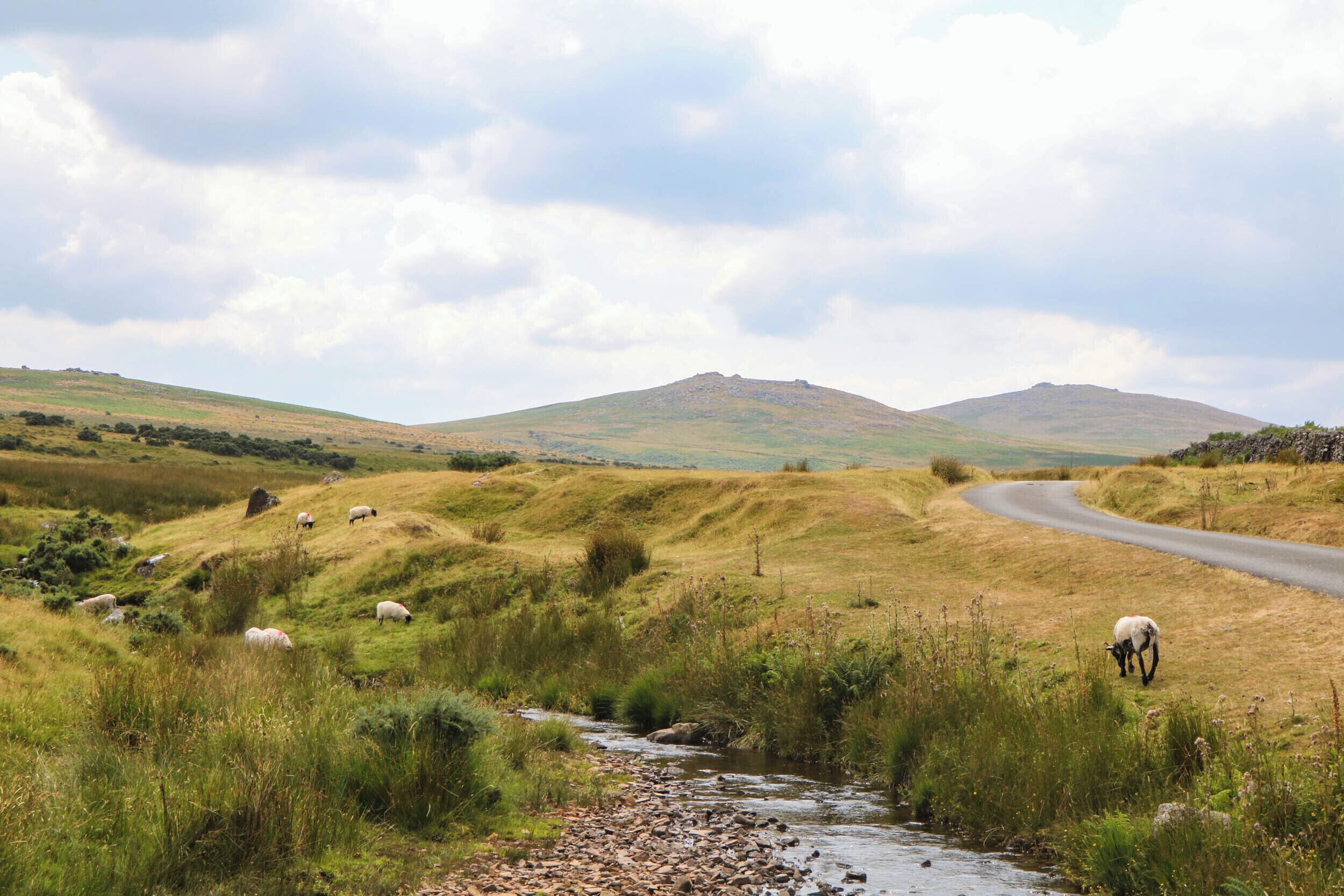 A rural landscape with a winding road, a stream, and sheep grazing.