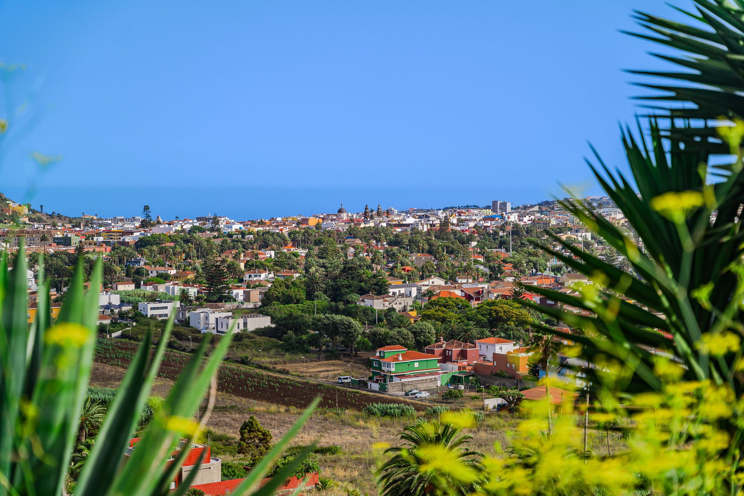 A coastal town with a mix of residential buildings and greenery.