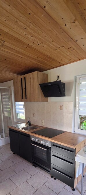 Private kitchen - Ferienhaus in schönen Vogtland Auerbach/Vogtland (Auerbach/Vogtland)