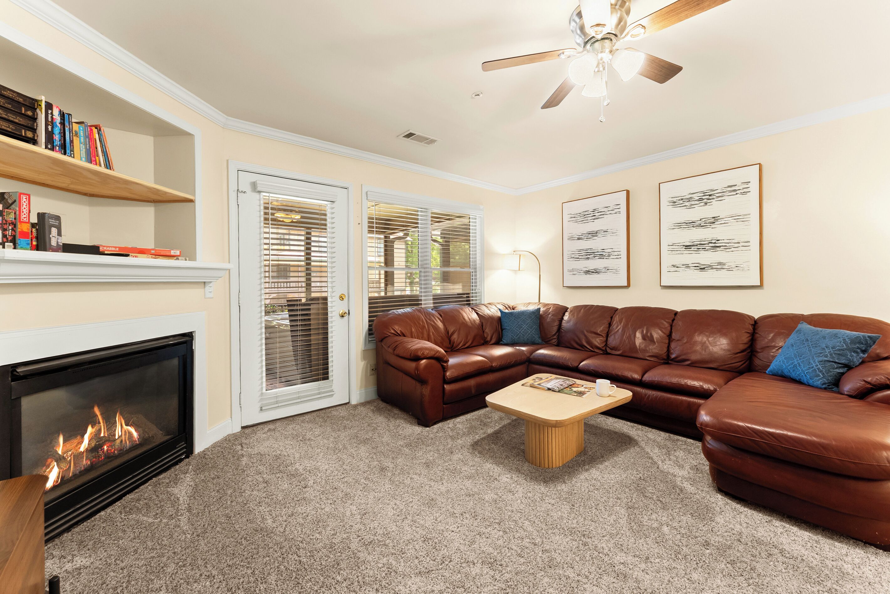 Smart TV, fireplace, books