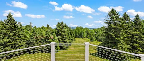 A balcony with a metal railing overlooking a grassy area with trees.