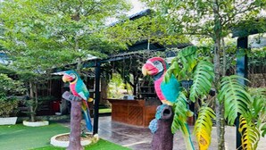 A garden with artificial bird sculptures on trees. - Dalux Motel (Banan)