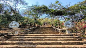 A staircase with stone railings leading up to a forested area. - Dalux Motel (Banan)