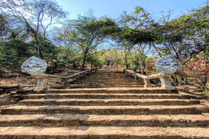 Una escalera con barandillas de piedra que conduce a una zona boscosa.