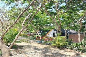A pathway leading to a white building with a red roof, surrounded by trees and greenery. - Dalux Motel (Banan)