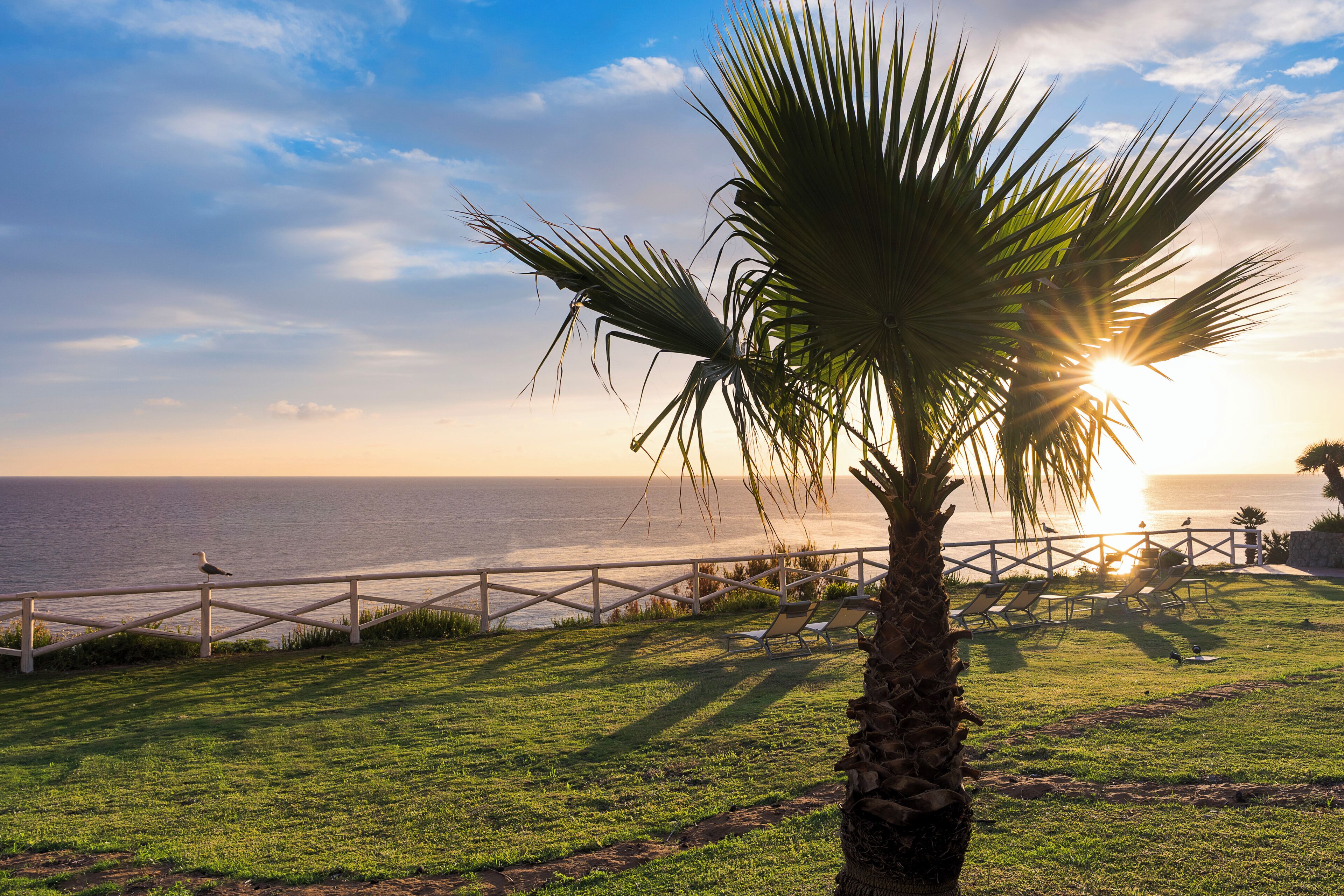 Blick auf die Küste mit einer Palme, einem Holzzaun und einem Sonnenuntergang über dem Meer.