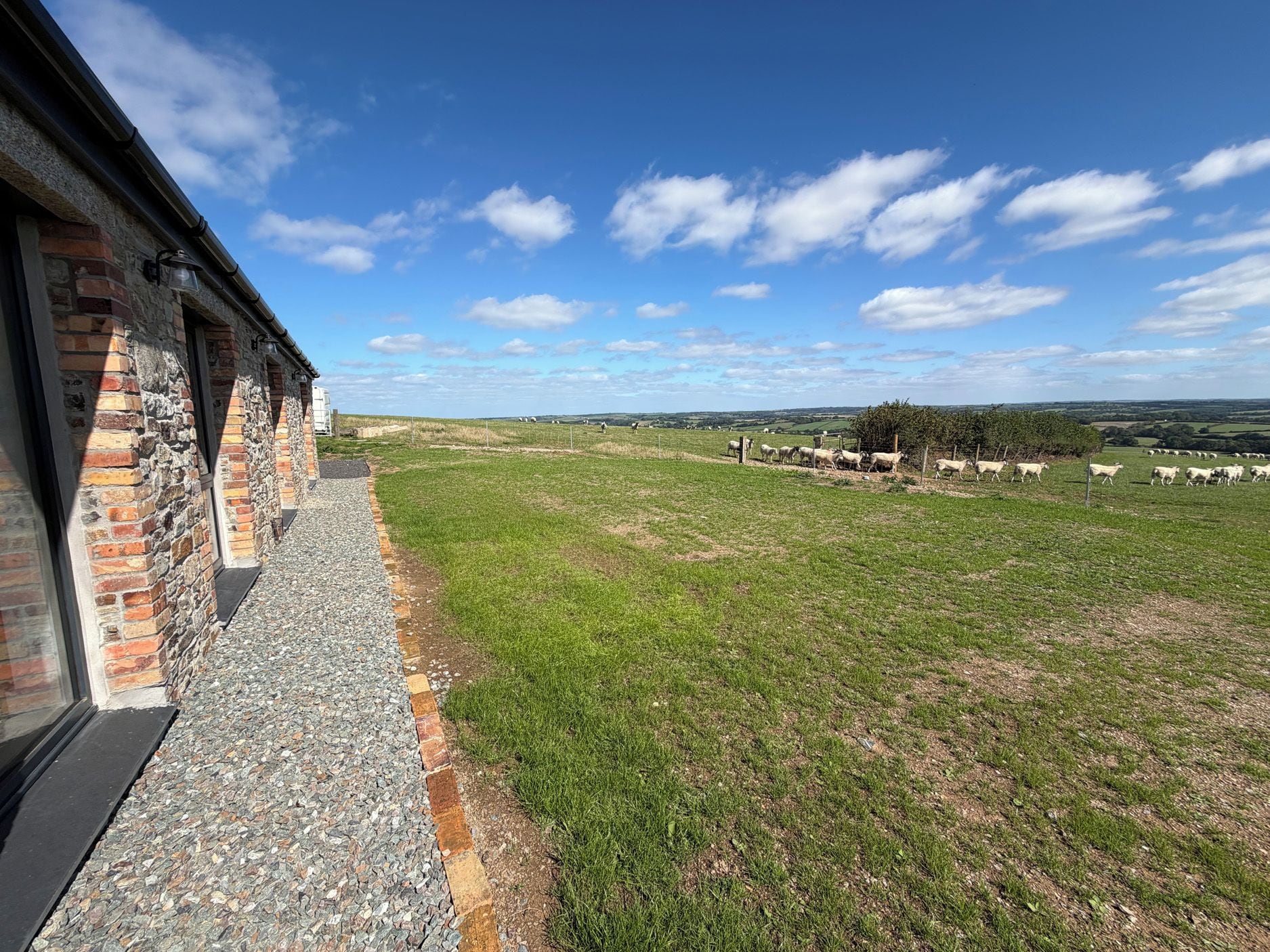 A view from a building with a stone facade and a gravel path leading to a grassy field with sheep.