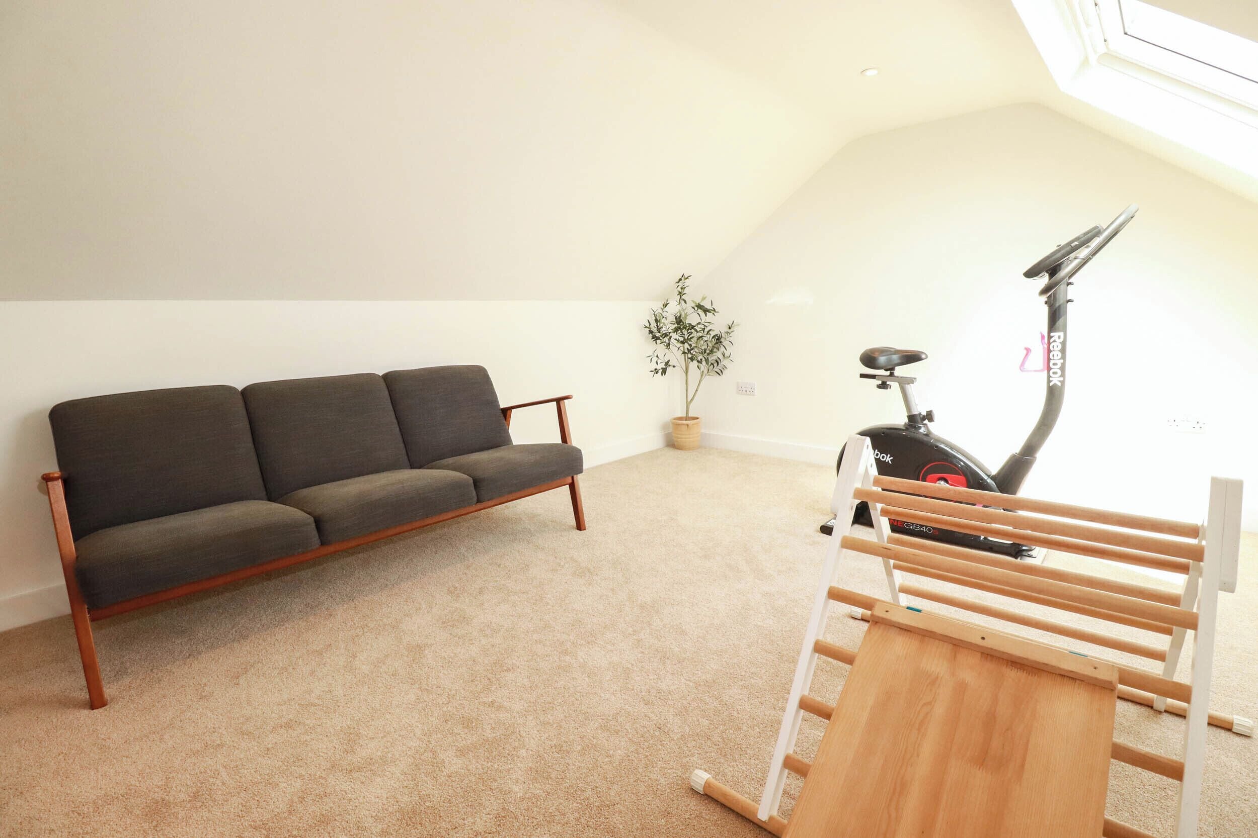 A room with a grey sofa, a small potted plant, a standing exercise bike, and a wooden ladder.