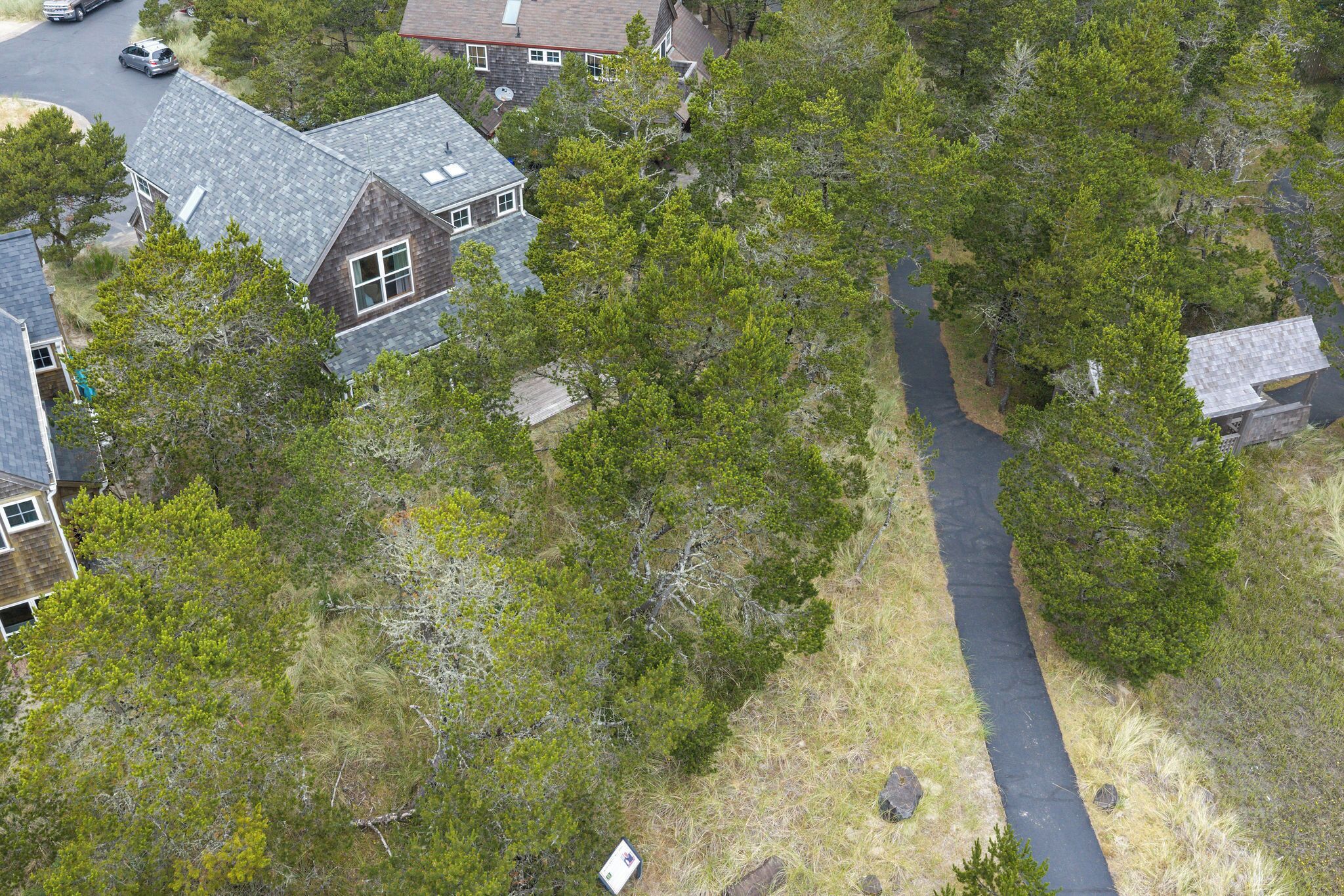 A residential area with houses, a narrow road, and dense greenery.