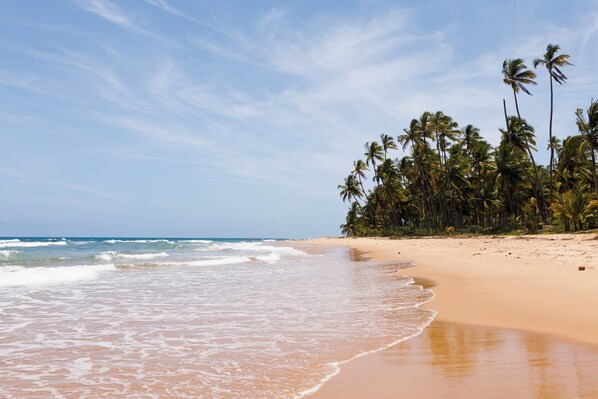 A beach with clear skies, waves, and palm trees.