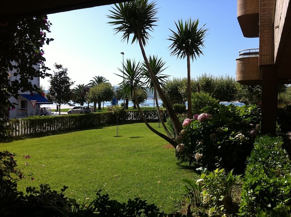 A well-maintained lawn with palm trees and a hedge, a building with a blue awning, and a view of the sea.