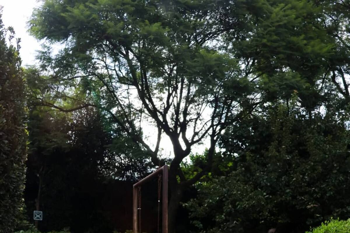 Kamar, beberapa kamar, patio | Taman