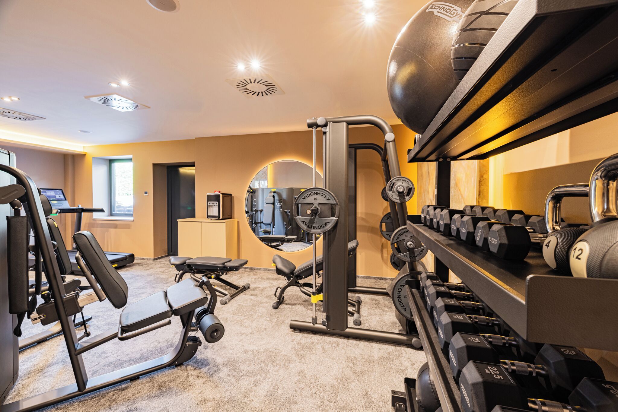 A gym with various exercise equipment, including a bench press, dumbbells, and a weight machine.