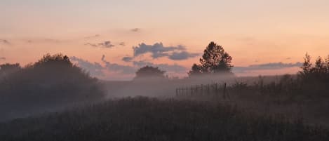 Un paysage brumeux avec un arbre isolé qui se détache et une clôture au premier plan.