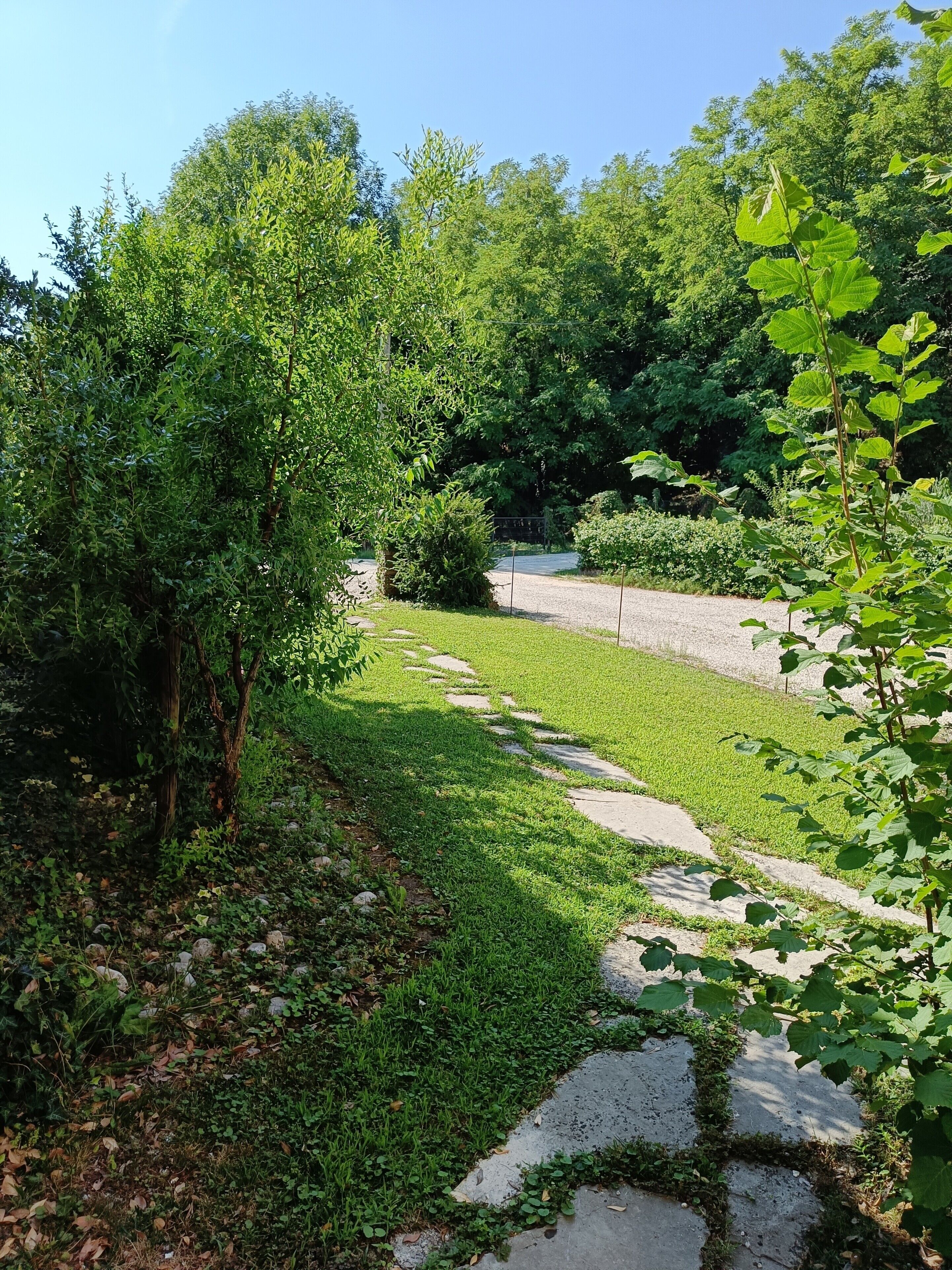 Un sentiero che si snoda in un giardino con diversi alberi e arbusti.