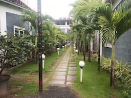 Un sendero bordeado por palmeras y plantas en macetas, que conduce a un edificio de diseño moderno.