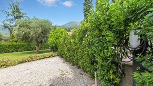 Un sendero de grava que conduce a un edificio, con un seto a un lado y un árbol al otro.