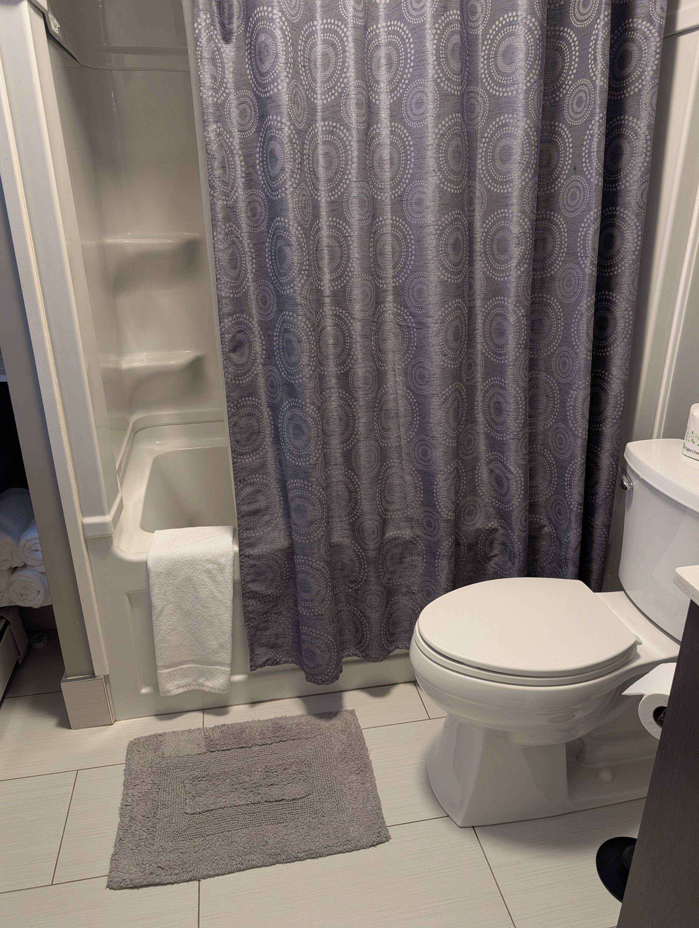 Hair dryer, towels