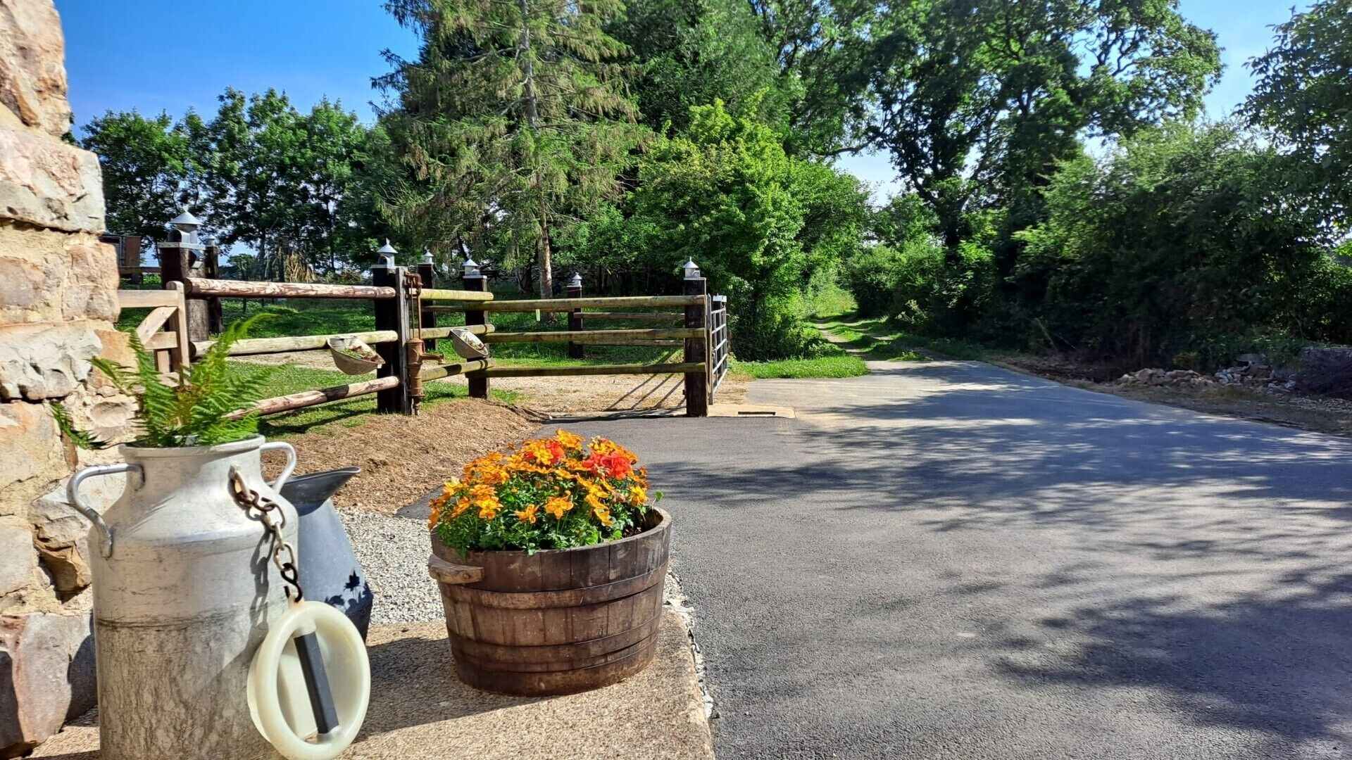A paved driveway leading to a wooden gate, a metal watering can, and a flower pot with flowers.