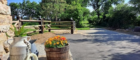 A paved driveway leading to a wooden gate, a metal watering can, and a flower pot with flowers.