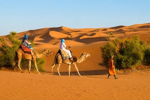 A desert landscape with sand dunes and sparse vegetation.