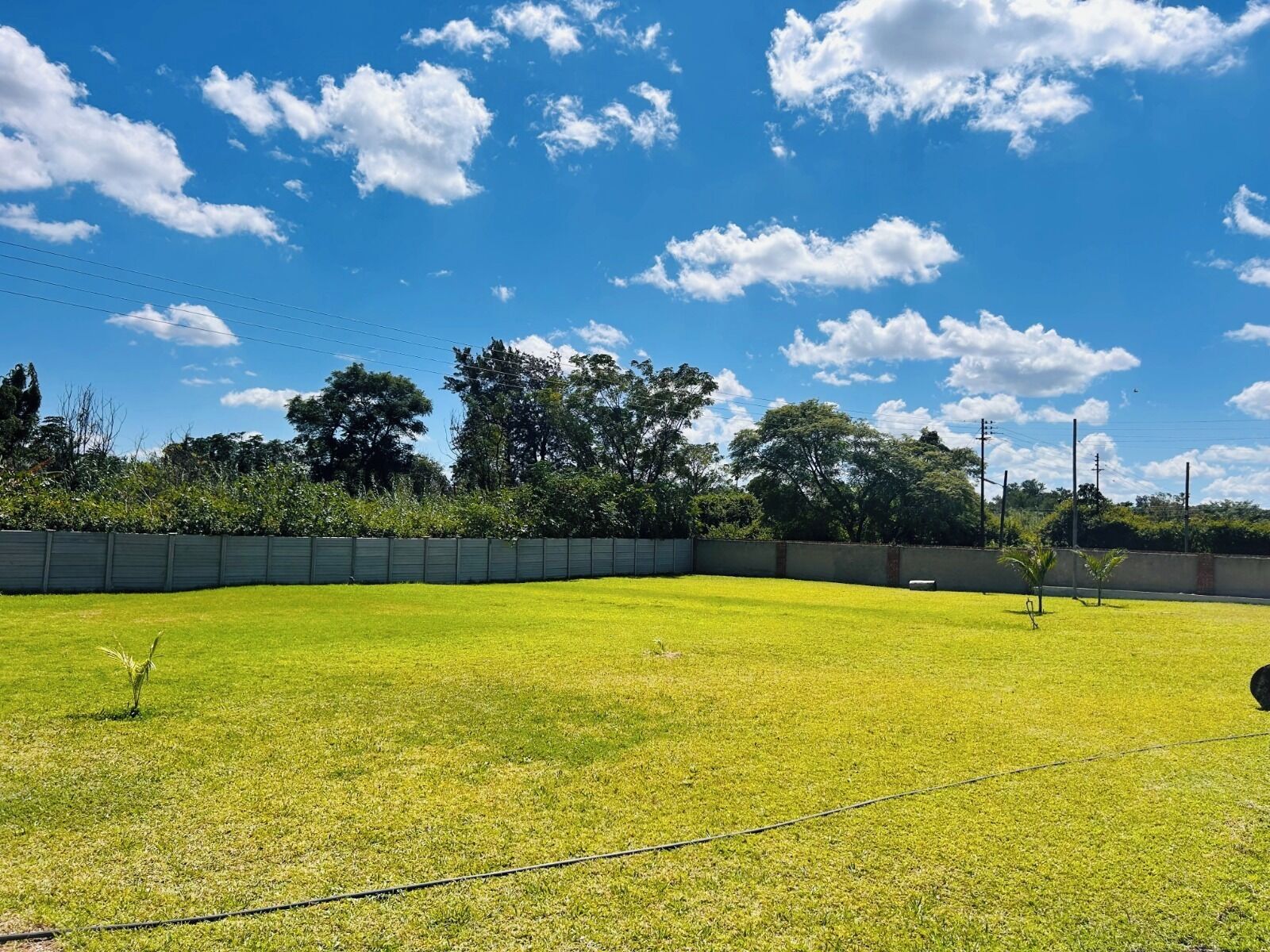 Ein gepflegtes Grasfeld mit blauem Himmel und Bäumen im Hintergrund.