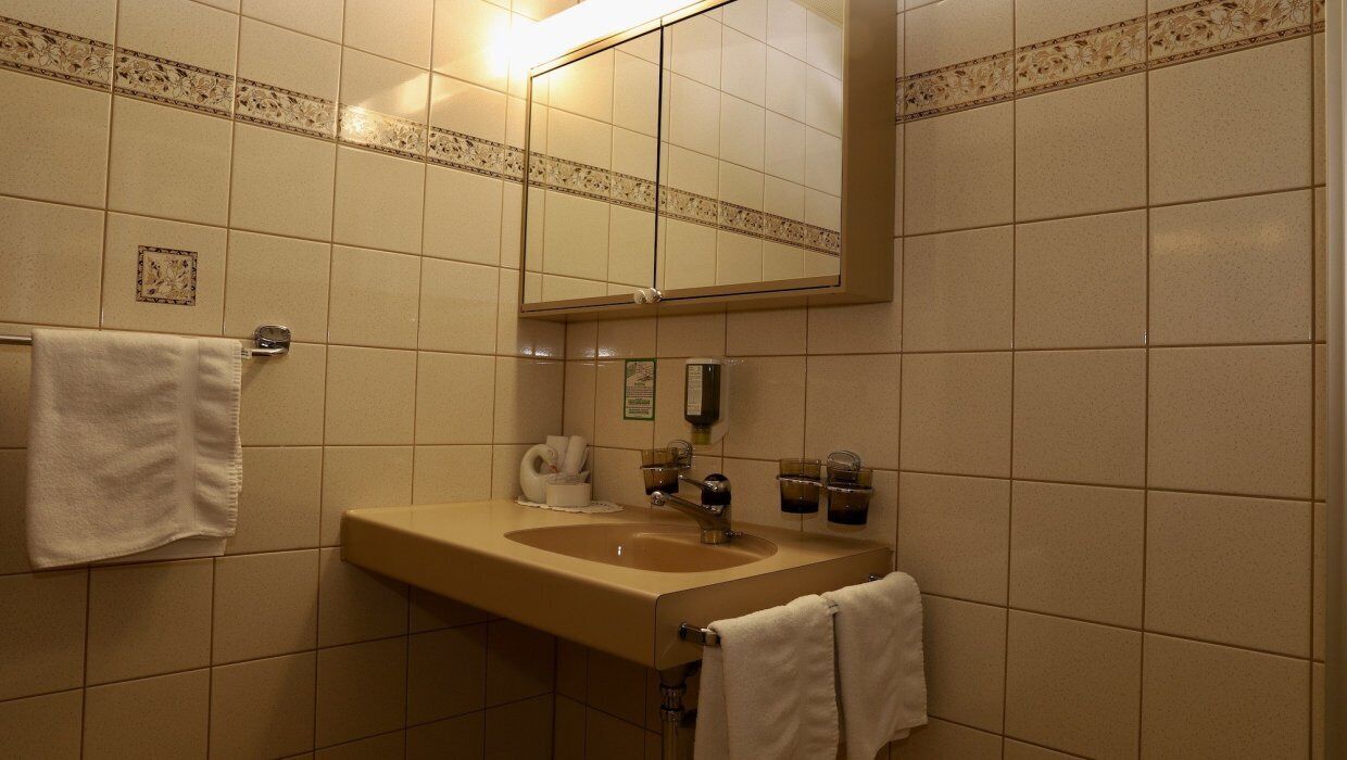 Duschwanne, kostenlose Toilettenartikel, Haartrockner