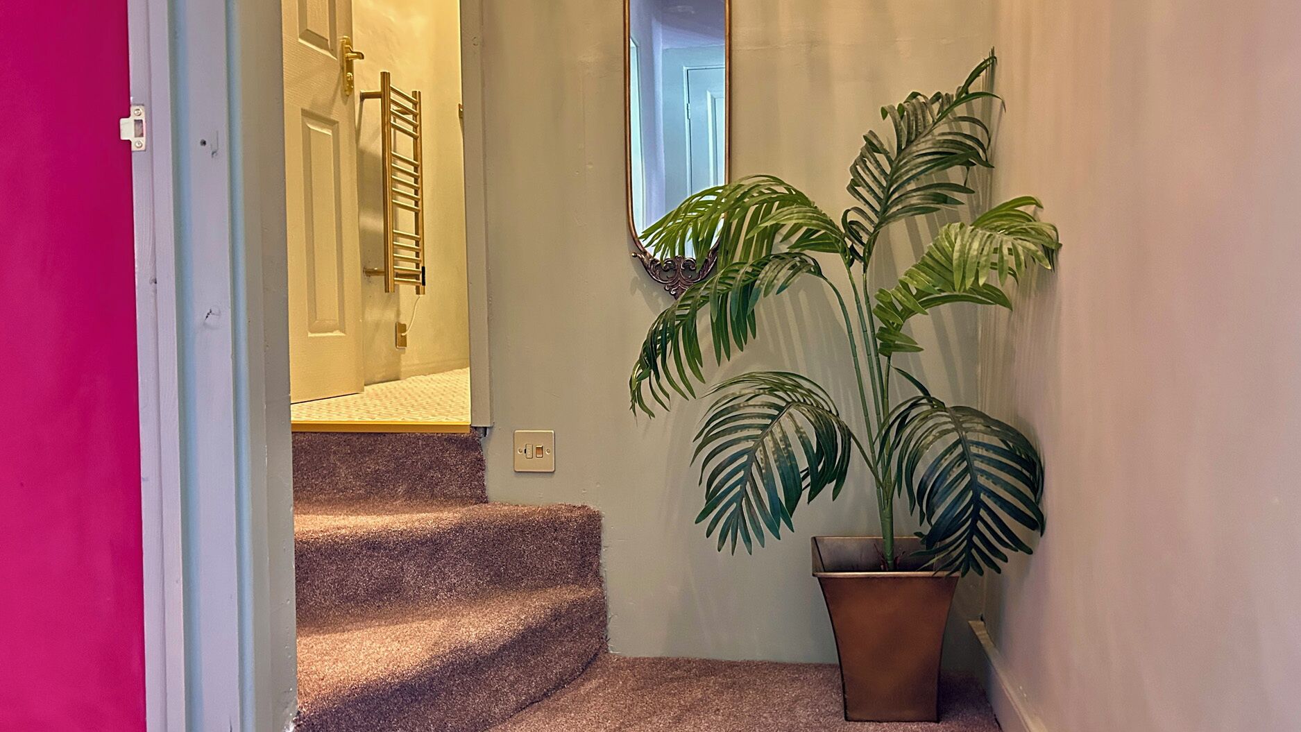 Een gang met een trap naar een kamer, een kamerplant en een deur met een handdoekhouder.