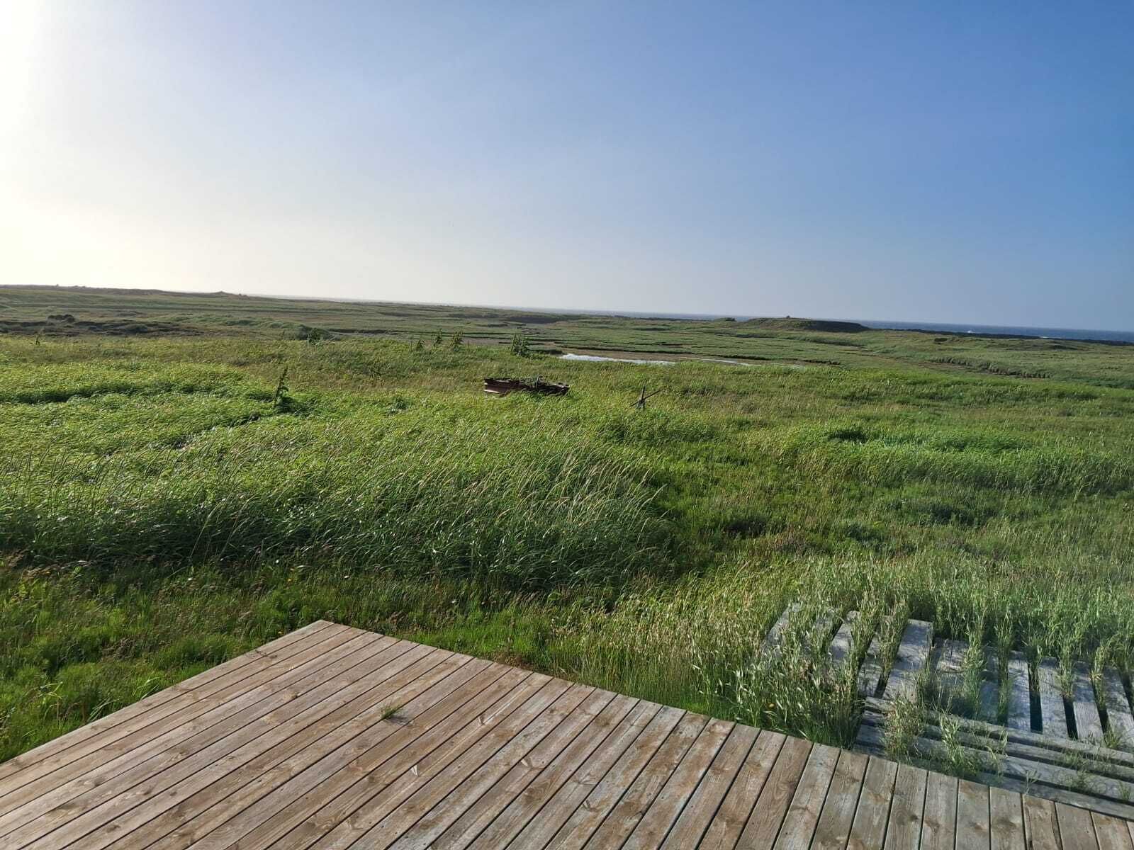 A wooden deck overlooking a grassy field with a clear sky.