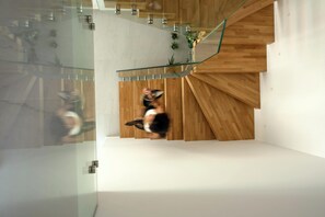 A modern interior with a glass staircase, wooden accents, and minimalist design. - Sirocco Lux Villas (Agios Vasileios)