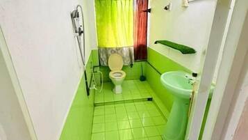 Shower, towels, soap, toilet paper