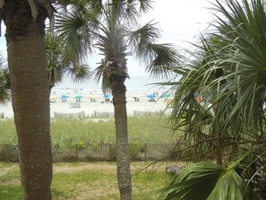 A beach view with palm trees, a fence, and beach umbrellas. - Ocean front at Ocean reef resort, waterpark, beach (Myrtle Beach)