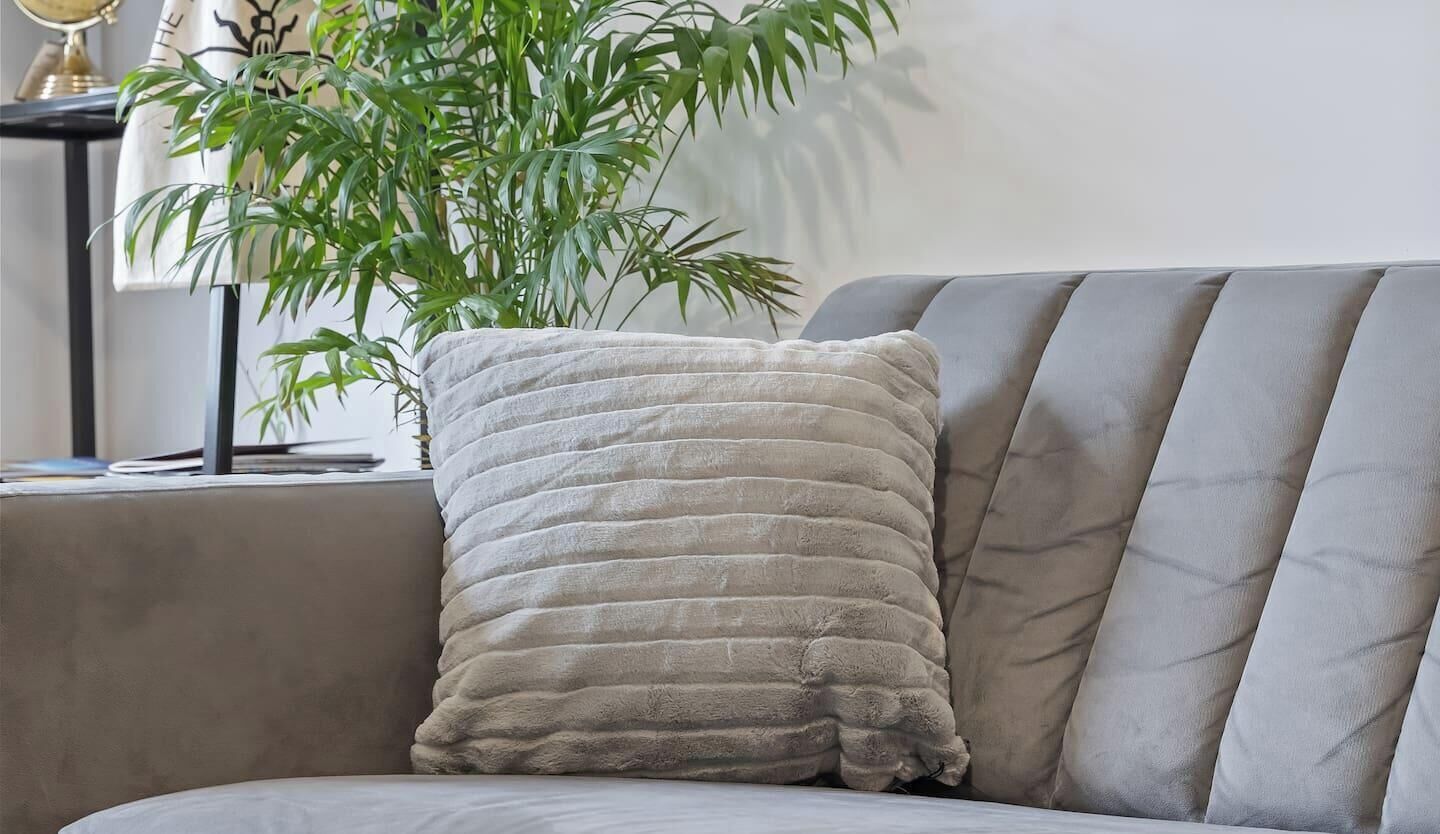 A sofa with a textured cushion and a potted plant beside it.