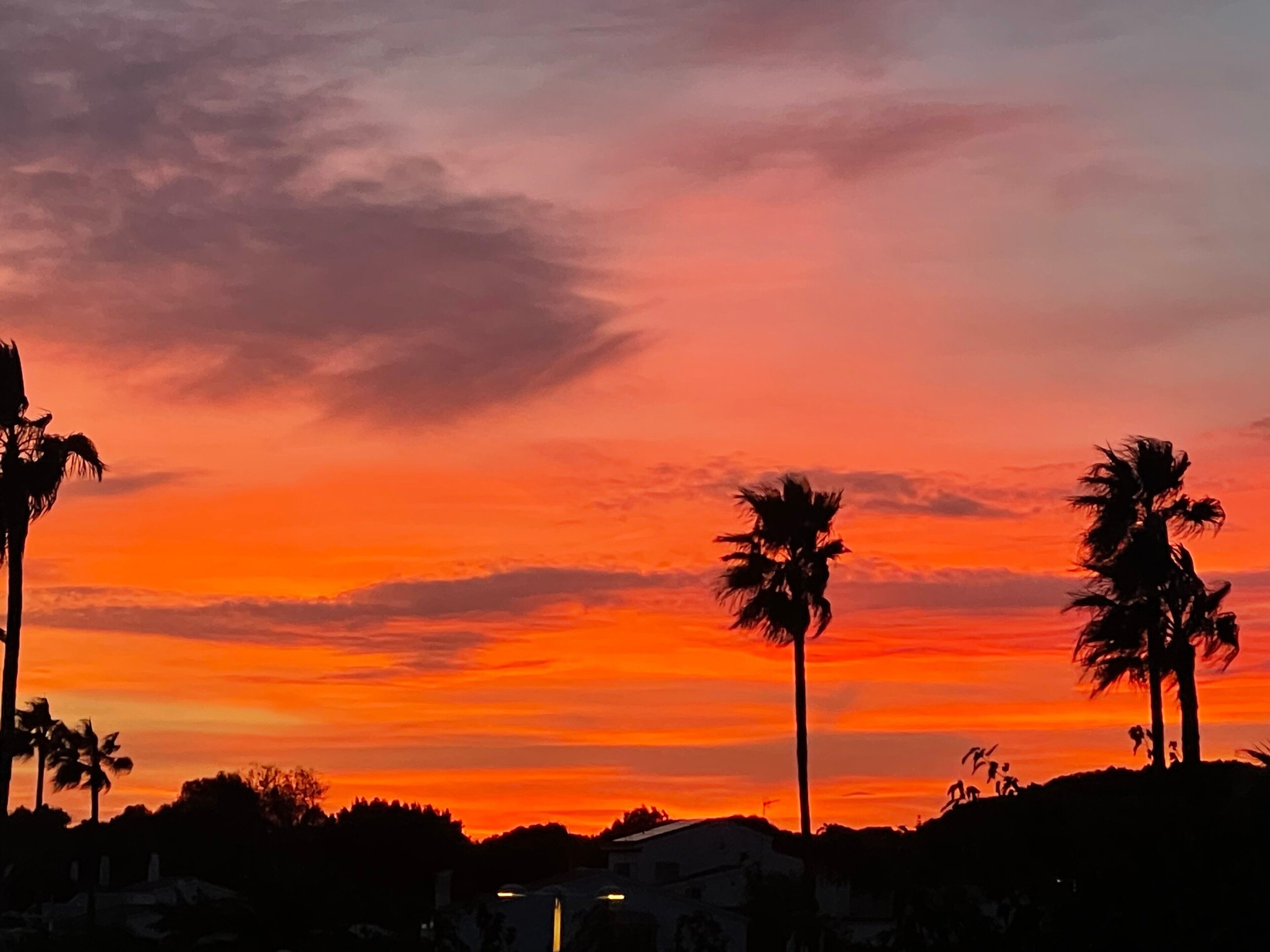 Un atardecer con palmeras recortadas contra un cielo vibrante.