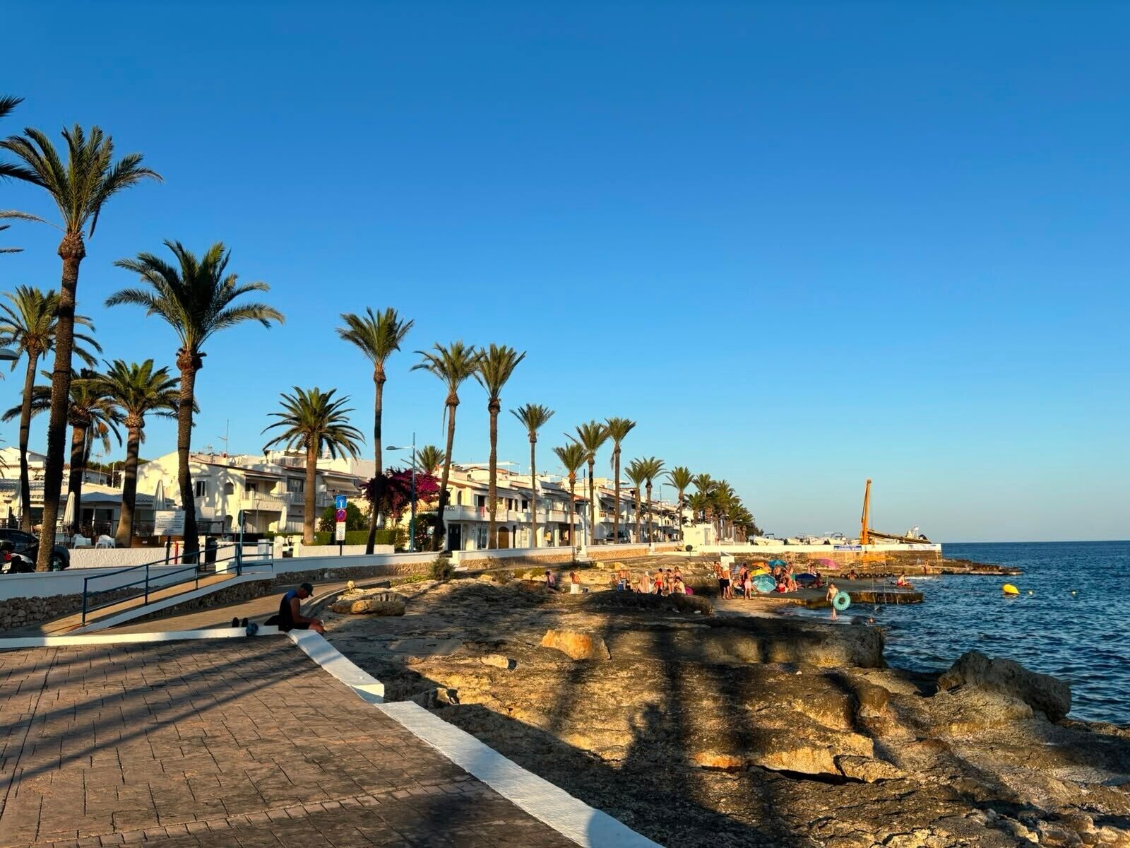 A coastal promenade with palm trees, a stone pathway, and a view of the sea.