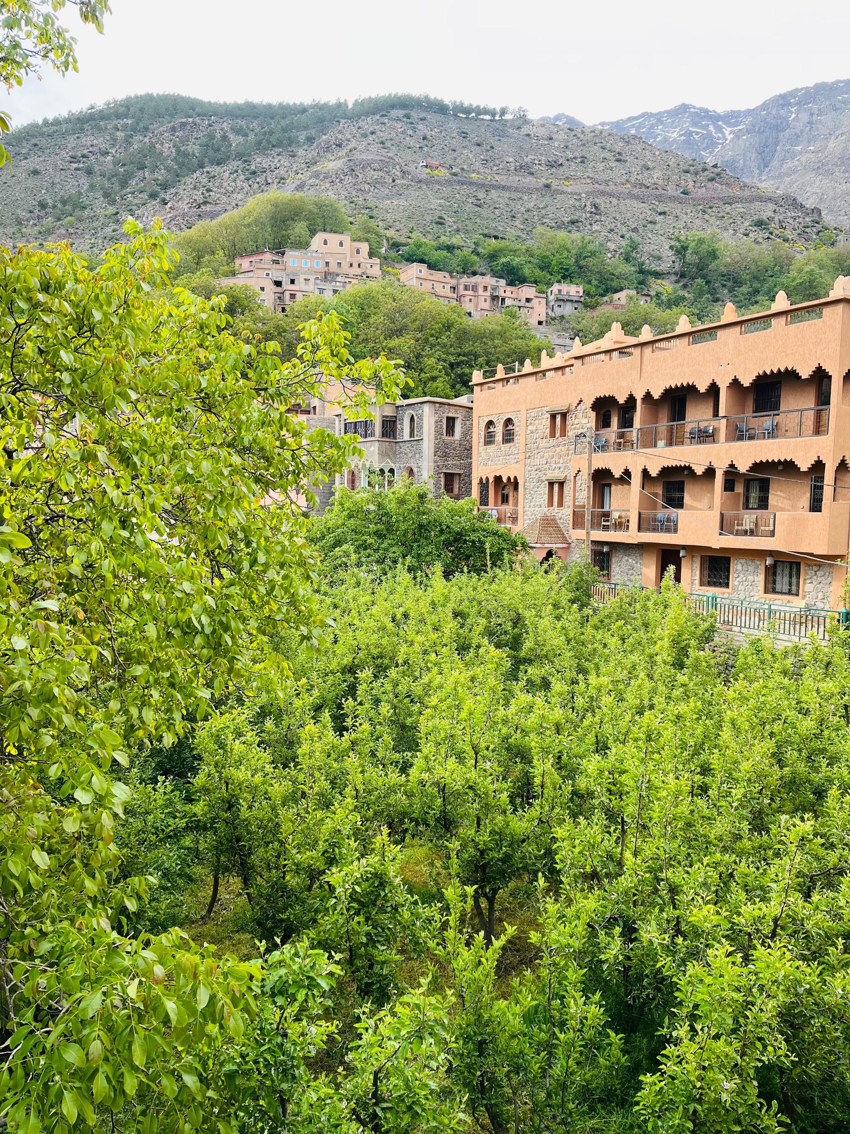 A hillside building with multiple balconies and a lush green foreground.