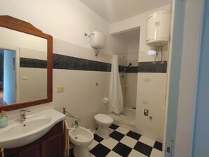 Shower, hair dryer, bidet, towels