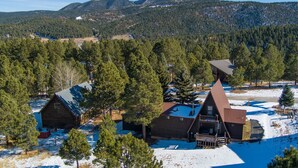 Una cabaña con techo inclinado, rodeada de bosque y terreno cubierto de nieve.