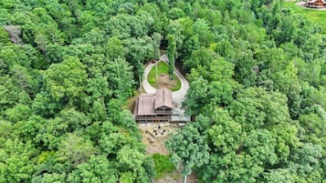 Une cabane entourée d’une forêt dense, avec une allée menant à l’entrée.