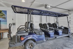 Ein blauer Golfwagen mit Verdeck, abgestellt in einer Garage mit einer weißen Tür und einem Strandbild.
