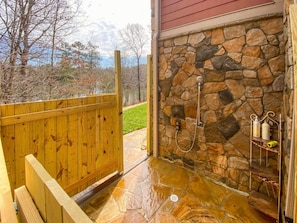 Unclassified image, 4 of 45, button - Lakefront Dock Hot tub Firepit Dog Friendly (Mill Spring)