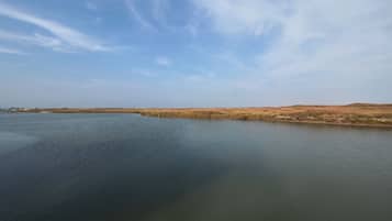 A calm body of water with a clear sky and distant land.