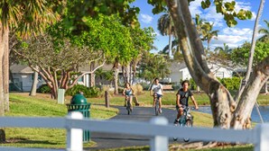 Uma ciclovia cercada por árvores e uma cerca.