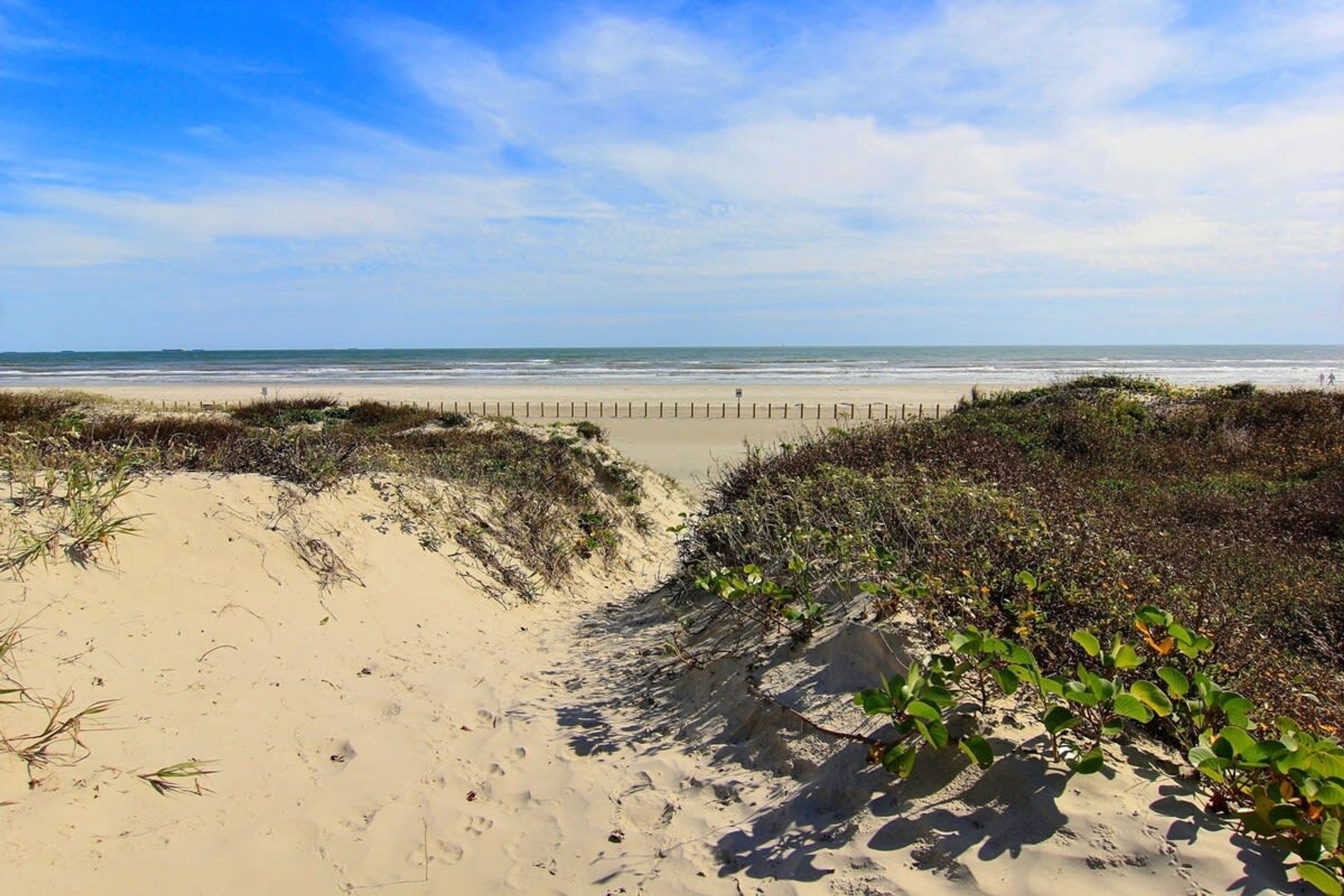 A beach with a sandy path leading to the ocean, bordered by vegetation.