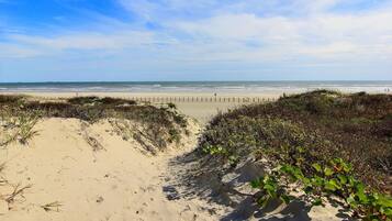 A beach with a sandy path leading to the ocean, bordered by vegetation.